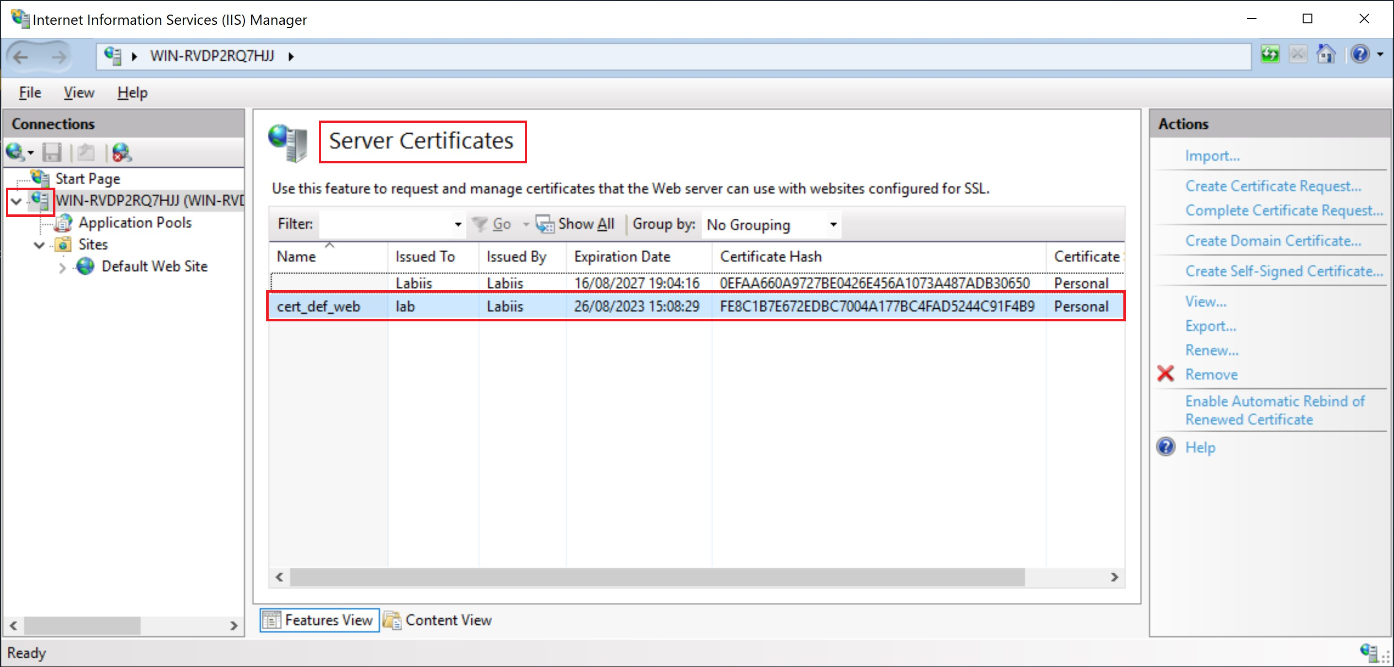 _IIS Manager_, lista de certificados SSL